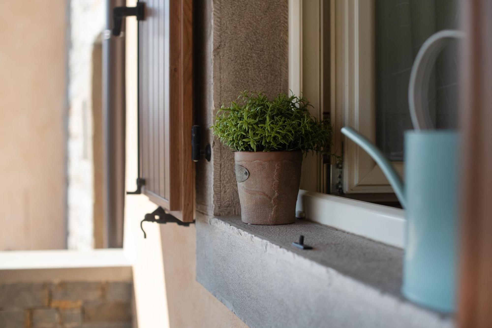 Appartement Truffle House Karlic à Buzet Extérieur photo